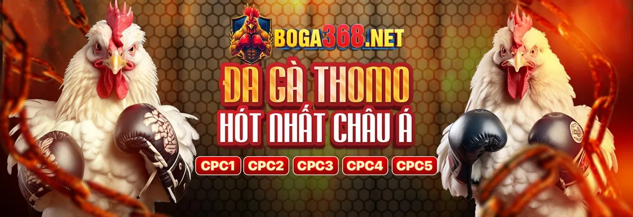 Chương Trình VIP Độc Quyền st666 code