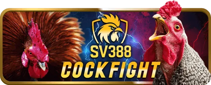 Khuyến mãi st666 code
